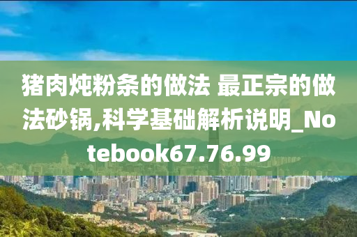 猪肉炖粉条的做法 最正宗的做法砂锅,科学基础解析说明_Notebook67.76.99