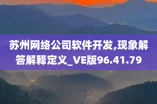 苏州网络公司软件开发,现象解答解释定义_VE版96.41.79