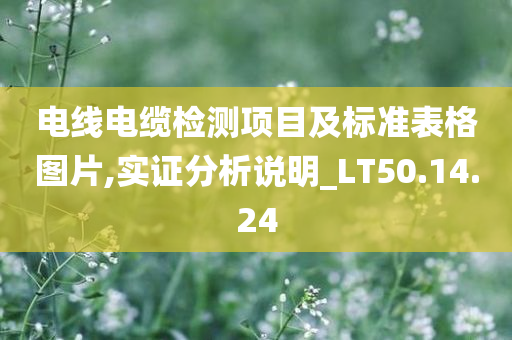 电线电缆检测项目及标准表格图片,实证分析说明_LT50.14.24