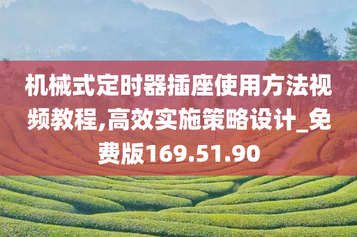 机械式定时器插座使用方法视频教程,高效实施策略设计_免费版169.51.90