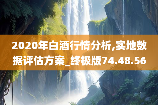 2020年白酒行情分析,实地数据评估方案_终极版74.48.56