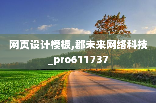 网页设计模板,郡未来网络科技_pro611737