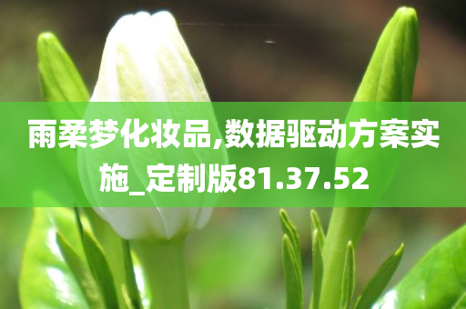 雨柔梦化妆品,数据驱动方案实施_定制版81.37.52