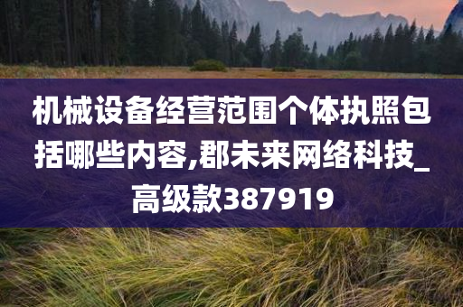 机械设备经营范围个体执照包括哪些内容,郡未来网络科技_高级款387919