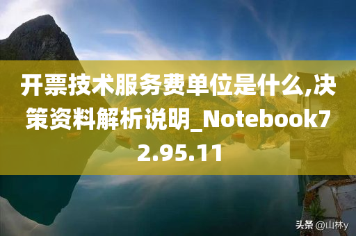 开票技术服务费单位是什么,决策资料解析说明_Notebook72.95.11