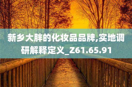 新乡大胖的化妆品品牌,实地调研解释定义_Z61.65.91