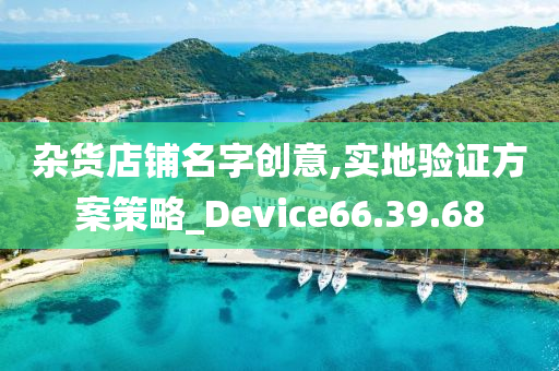 杂货店铺名字创意,实地验证方案策略_Device66.39.68