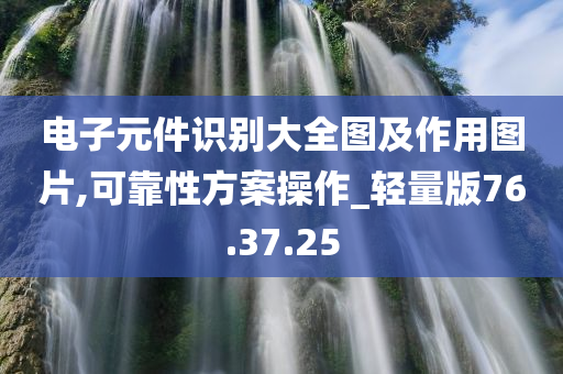 电子元件识别大全图及作用图片,可靠性方案操作_轻量版76.37.25