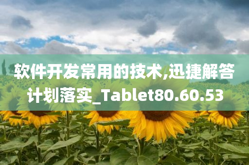 软件开发常用的技术,迅捷解答计划落实_Tablet80.60.53