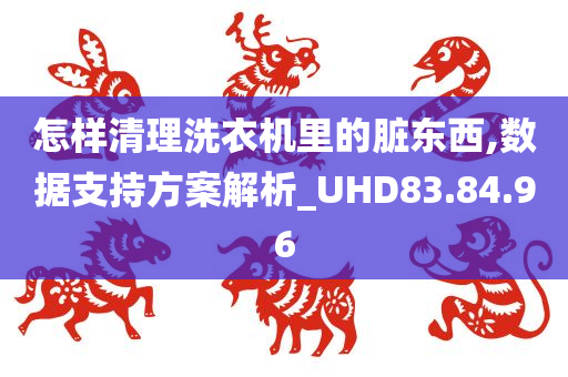 怎样清理洗衣机里的脏东西,数据支持方案解析_UHD83.84.96