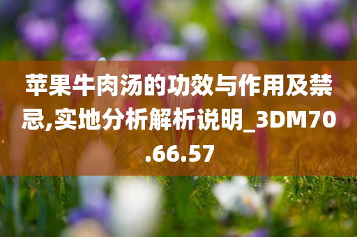 苹果牛肉汤的功效与作用及禁忌,实地分析解析说明_3DM70.66.57