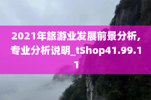 2021年旅游业发展前景分析,专业分析说明_tShop41.99.11