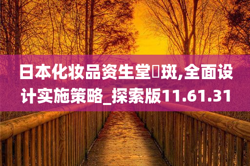 日本化妆品资生堂袪斑,全面设计实施策略_探索版11.61.31