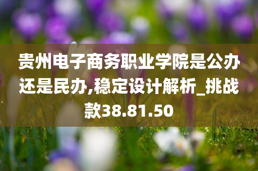 贵州电子商务职业学院是公办还是民办,稳定设计解析_挑战款38.81.50