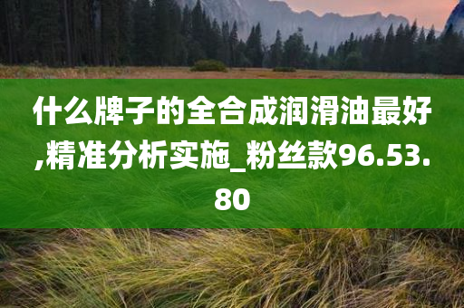 什么牌子的全合成润滑油最好,精准分析实施_粉丝款96.53.80