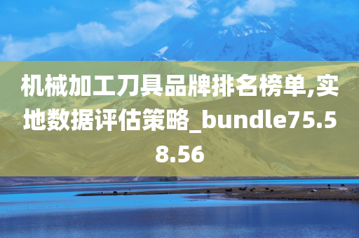 机械加工刀具品牌排名榜单,实地数据评估策略_bundle75.58.56