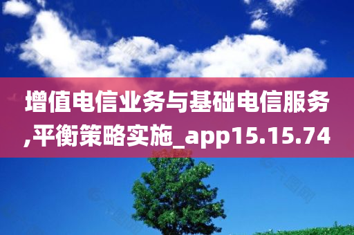 增值电信业务与基础电信服务,平衡策略实施_app15.15.74