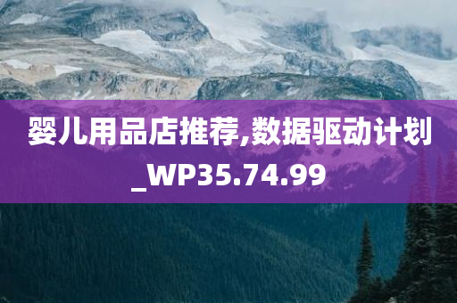 婴儿用品店推荐,数据驱动计划_WP35.74.99