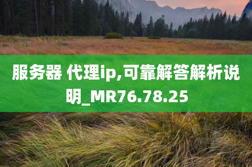 服务器 代理ip,可靠解答解析说明_MR76.78.25