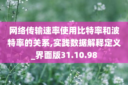 网络传输速率使用比特率和波特率的关系,实践数据解释定义_界面版31.10.98