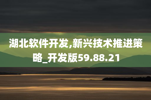 湖北软件开发,新兴技术推进策略_开发版59.88.21