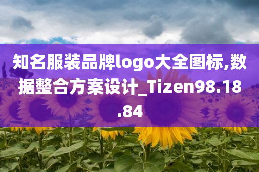 知名服装品牌logo大全图标,数据整合方案设计_Tizen98.18.84