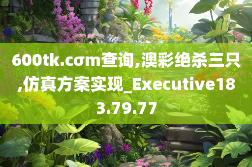 600tk.cσm查询,澳彩绝杀三只,仿真方案实现_Executive183.79.77