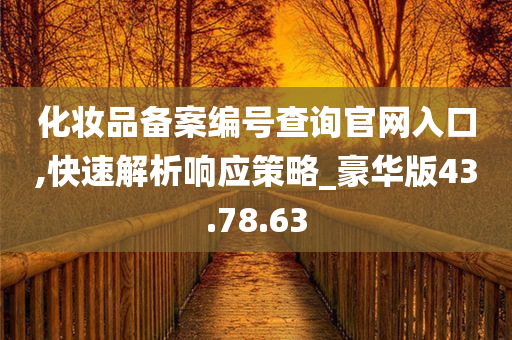 化妆品备案编号查询官网入口,快速解析响应策略_豪华版43.78.63