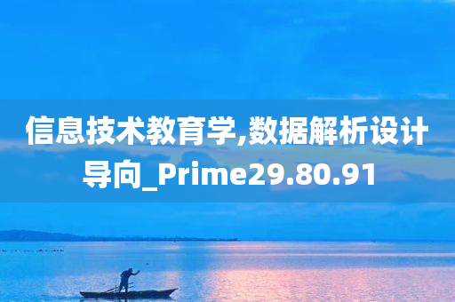 信息技术教育学,数据解析设计导向_Prime29.80.91