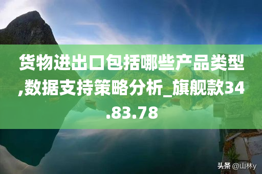 货物进出口包括哪些产品类型,数据支持策略分析_旗舰款34.83.78