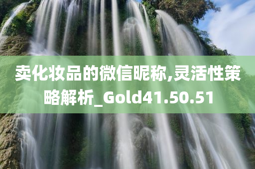 卖化妆品的微信昵称,灵活性策略解析_Gold41.50.51