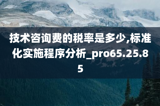 技术咨询费的税率是多少,标准化实施程序分析_pro65.25.85