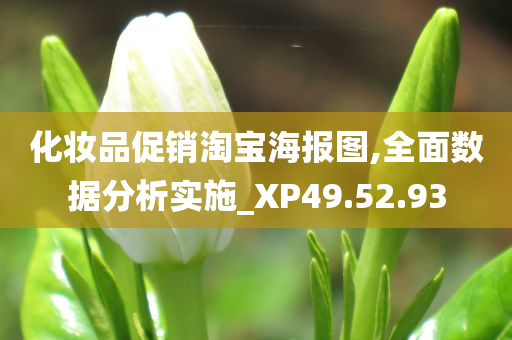 化妆品促销淘宝海报图,全面数据分析实施_XP49.52.93