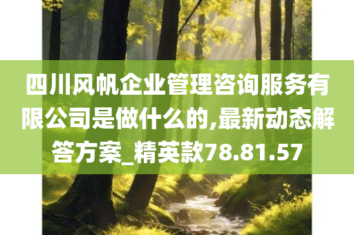 四川风帆企业管理咨询服务有限公司是做什么的,最新动态解答方案_精英款78.81.57