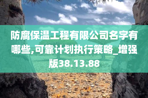 防腐保温工程有限公司名字有哪些,可靠计划执行策略_增强版38.13.88