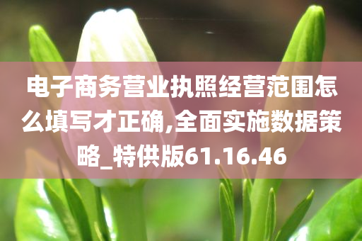 电子商务营业执照经营范围怎么填写才正确,全面实施数据策略_特供版61.16.46