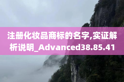 注册化妆品商标的名字,实证解析说明_Advanced38.85.41