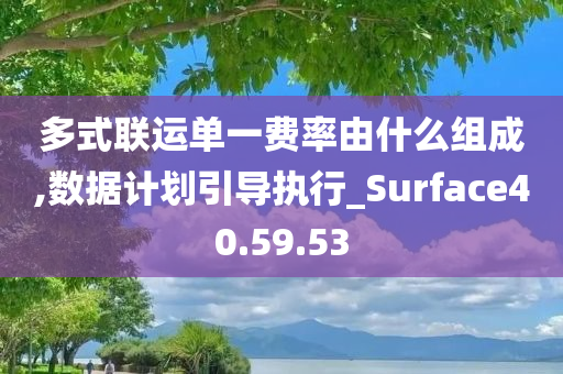 多式联运单一费率由什么组成,数据计划引导执行_Surface40.59.53