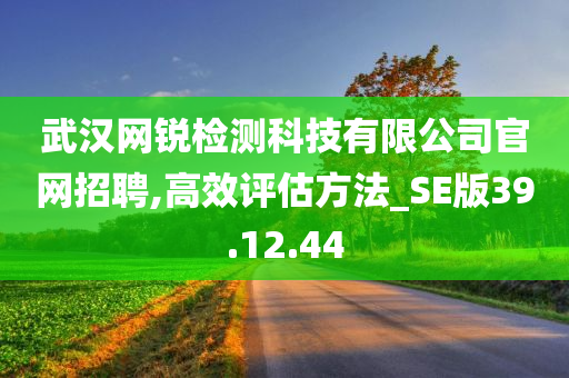 武汉网锐检测科技有限公司官网招聘,高效评估方法_SE版39.12.44