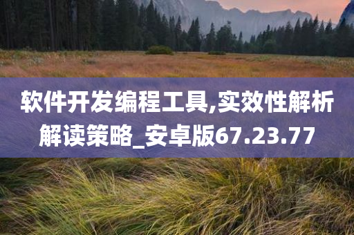 软件开发编程工具,实效性解析解读策略_安卓版67.23.77