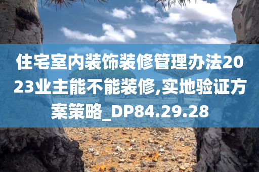 住宅室内装饰装修管理办法2023业主能不能装修,实地验证方案策略_DP84.29.28