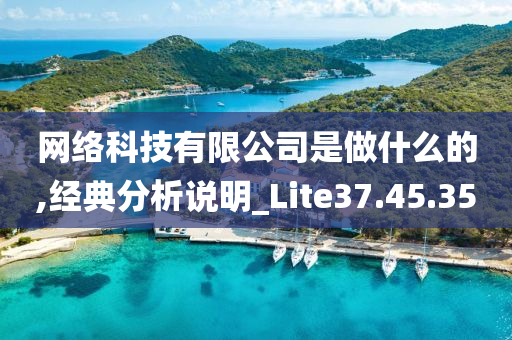 网络科技有限公司是做什么的,经典分析说明_Lite37.45.35