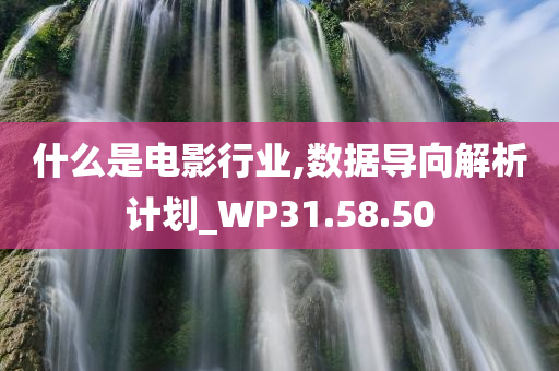 什么是电影行业,数据导向解析计划_WP31.58.50