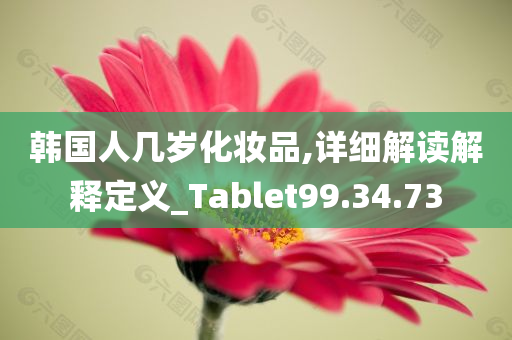 韩国人几岁化妆品,详细解读解释定义_Tablet99.34.73