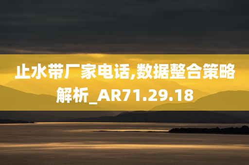 止水带厂家电话,数据整合策略解析_AR71.29.18