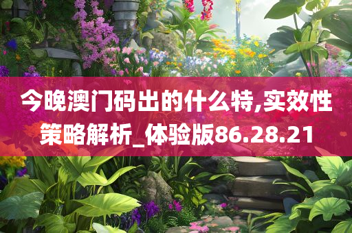 今晚澳门码出的什么特,实效性策略解析_体验版86.28.21