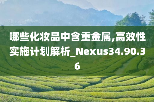 哪些化妆品中含重金属,高效性实施计划解析_Nexus34.90.36