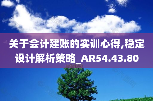 关于会计建账的实训心得,稳定设计解析策略_AR54.43.80