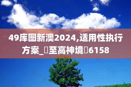 49库图新澳2024,适用性执行方案_‌至高神境‌6158