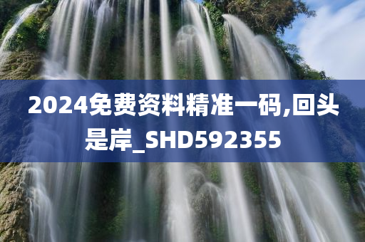 2024免费资料精准一码,回头是岸_SHD592355